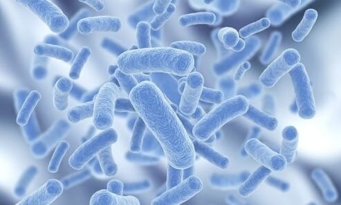 бактерии в човешкото тяло