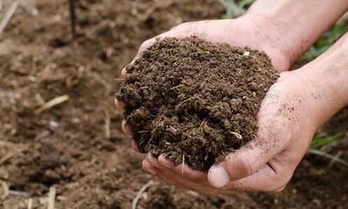 почвата като източник на човешка инфекция с паразити