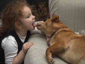 детето целува кучето и се заразява с паразити