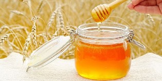 мед при червеи